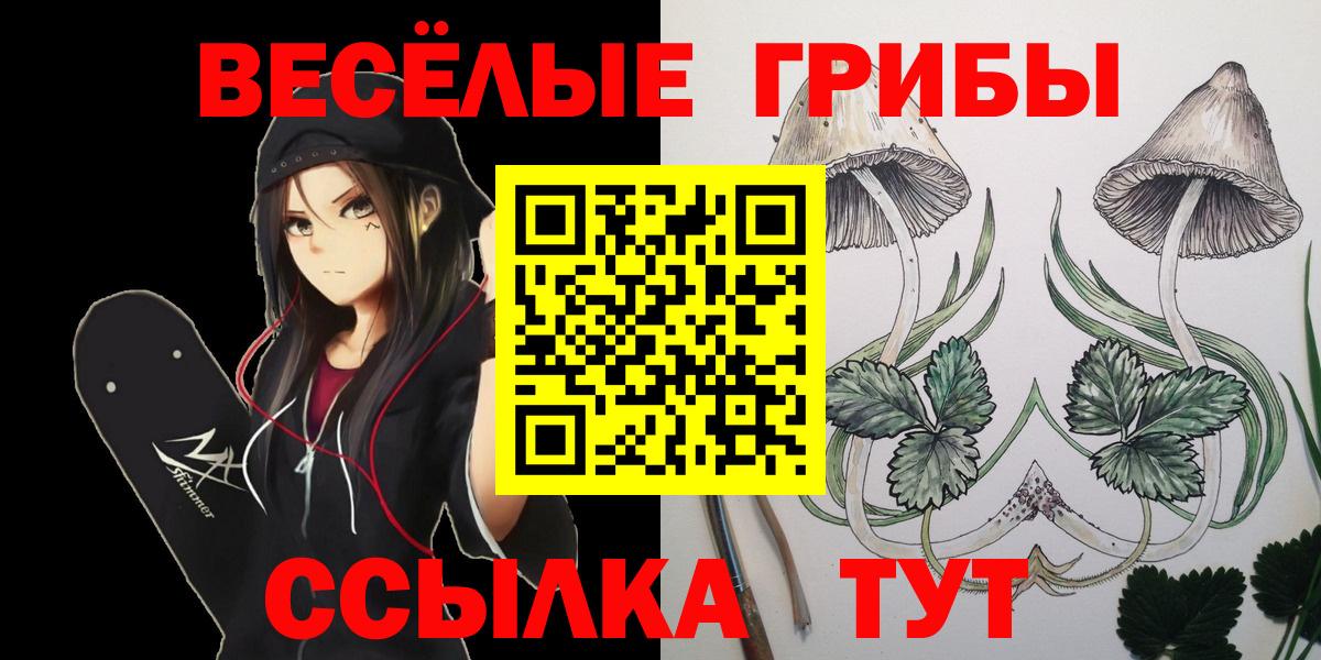 где продают наркотики  Псилоцибиновые грибы Cubensis  Галлюциногенные грибы Cubensis  Вход с VPN  Благодарный 